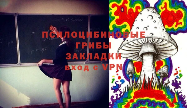 амф Верхний Тагил