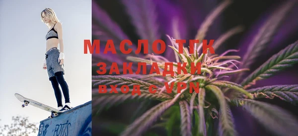 амф Верхний Тагил