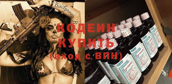 амф Верхний Тагил