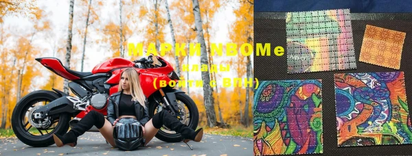 амф Верхний Тагил