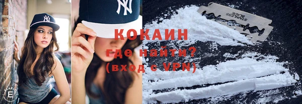 стафф Бронницы