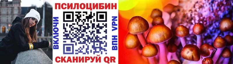 сколько стоит  Вилючинск  Псилоцибиновые грибы Cubensis 